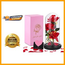 Rose Éternelle dans Cloche en Verre et Lumières LED - Base en Bois Élégante