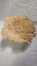 Natural Sea Sponge, Cup Sponge.