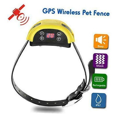 gps boundary dog collar