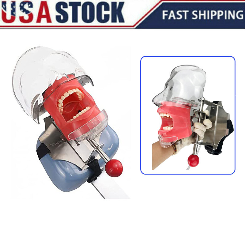 チェア② USA Dental Simulator Mannequin Head Teeth Model Dental-chair