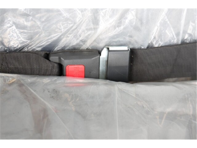 2026 Sabercat  thumbnail 19