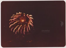 Fireworks Illuminate the Night Sky in Stunning Burst of Abstract Brilliance Phot