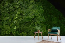 3D Green Plants Close-up Wall Murals Wallpaper Murals Wall Sticker