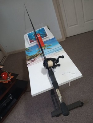 baitcasting Fishing Rod Zebco 33 Approach 6'6'' MH 10-20lb And Reel Shakespeare 