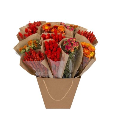 Getrocknete Blumen Strauß - Dried Mono Mix in Orange - 50 cm Pflegeleicht & Eleg