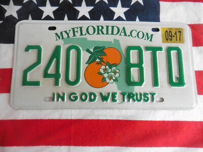US FLORIDA IN GOD WE TRUST 240 8TQ AUTO CAR NUMMERNSCHILD KENNZEICHEN PLATE USA 