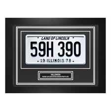 Halloween License Plate Wall Display Illinois Prop Frame Station Wagon