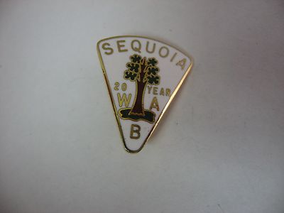 Vintage Sequoia WAB 20 Year Service Award Pin Enamel Tree Lapel Hat Pinback