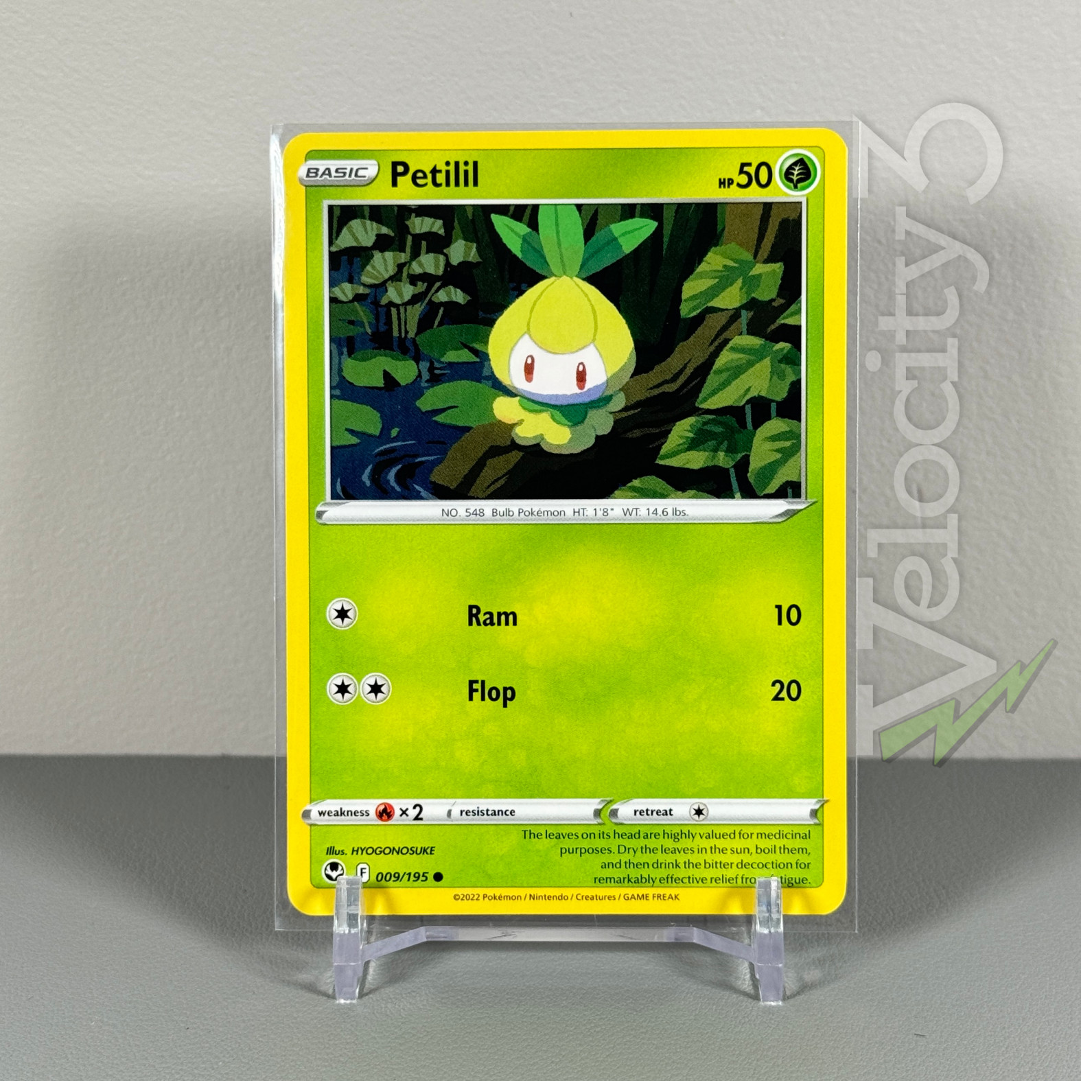 Pokemon TCG Card: PETILIL 9/195 | Common | Silver Tempest | NM/Mint