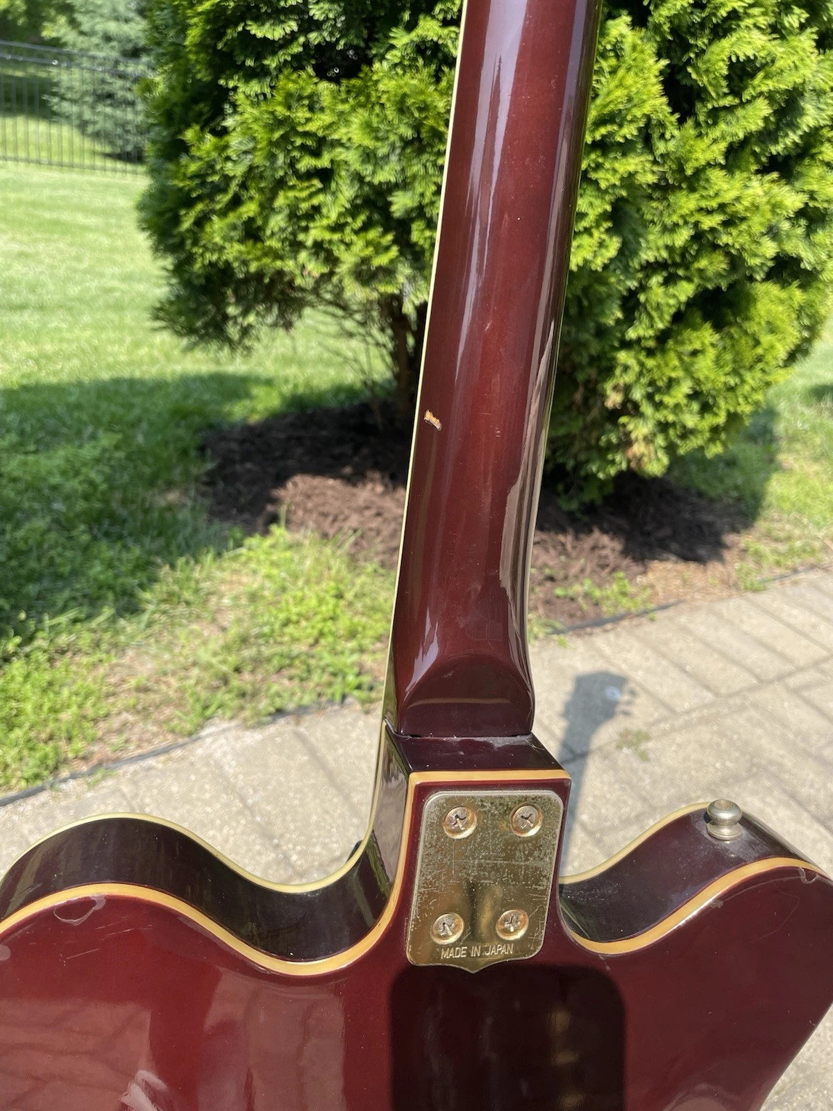 Picture 16 of 24