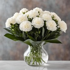 KaBloom-18 White Carnation Bouquet,Flowers for Valentine, Mother's Day