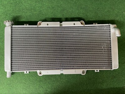 ORIGINAL QUADZILLA RL500 BUGGY KÜHLER KÜHLMITTEL RAD WASSERKÜHLUNG KÜHLER