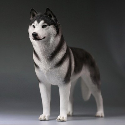 1/6 Scale Husky Siberian Husky Dog Model Animal Figure Ornaments Xmas Gift Toy