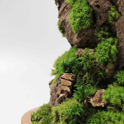 Large Handmade Terrarium with Cloche Glass and Wooden Base Mountain Preserved Te - Picture 6 of 14