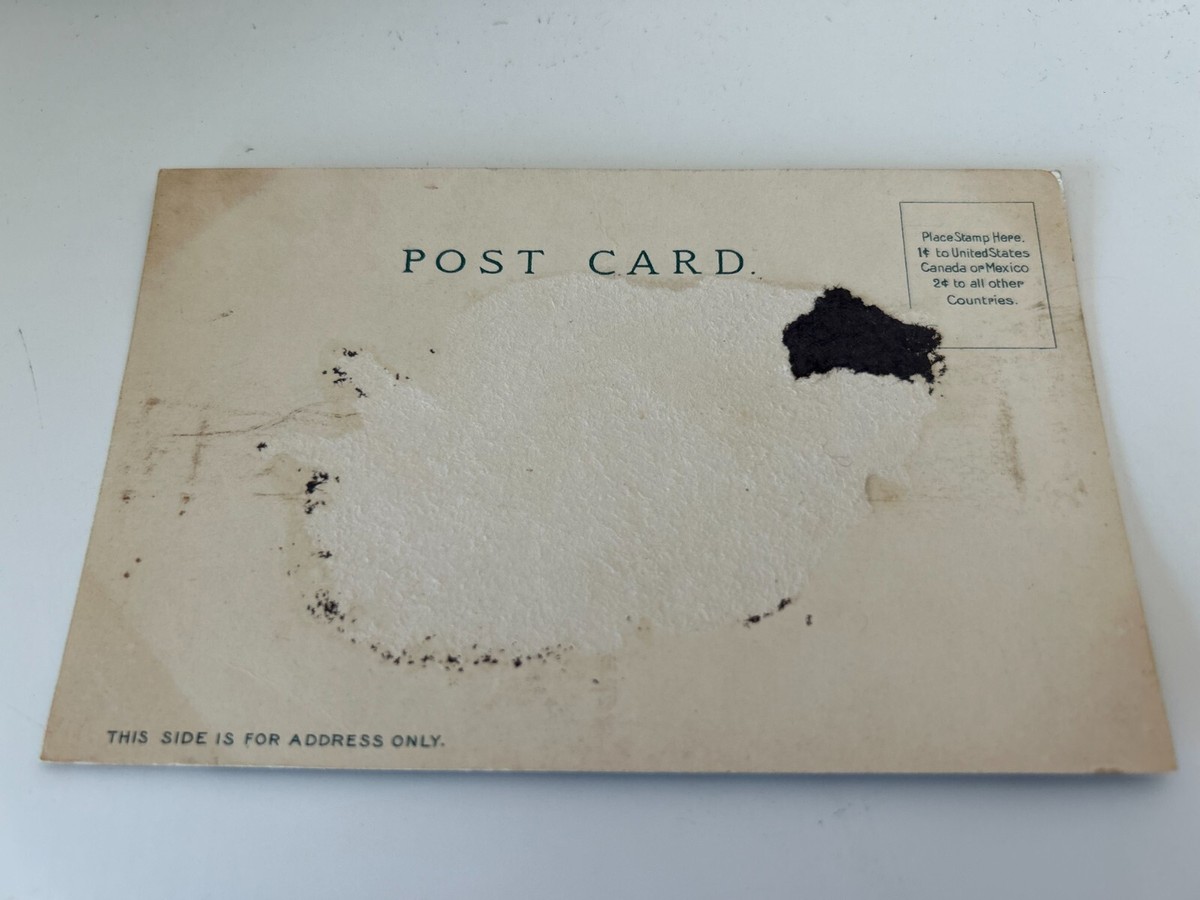 Sutro Baths San Francisco California Postcard | eBay