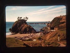 XAH08 35mm Slide Photo Vintage 11-78-8 PORT ORFORD OREGON EEEEE