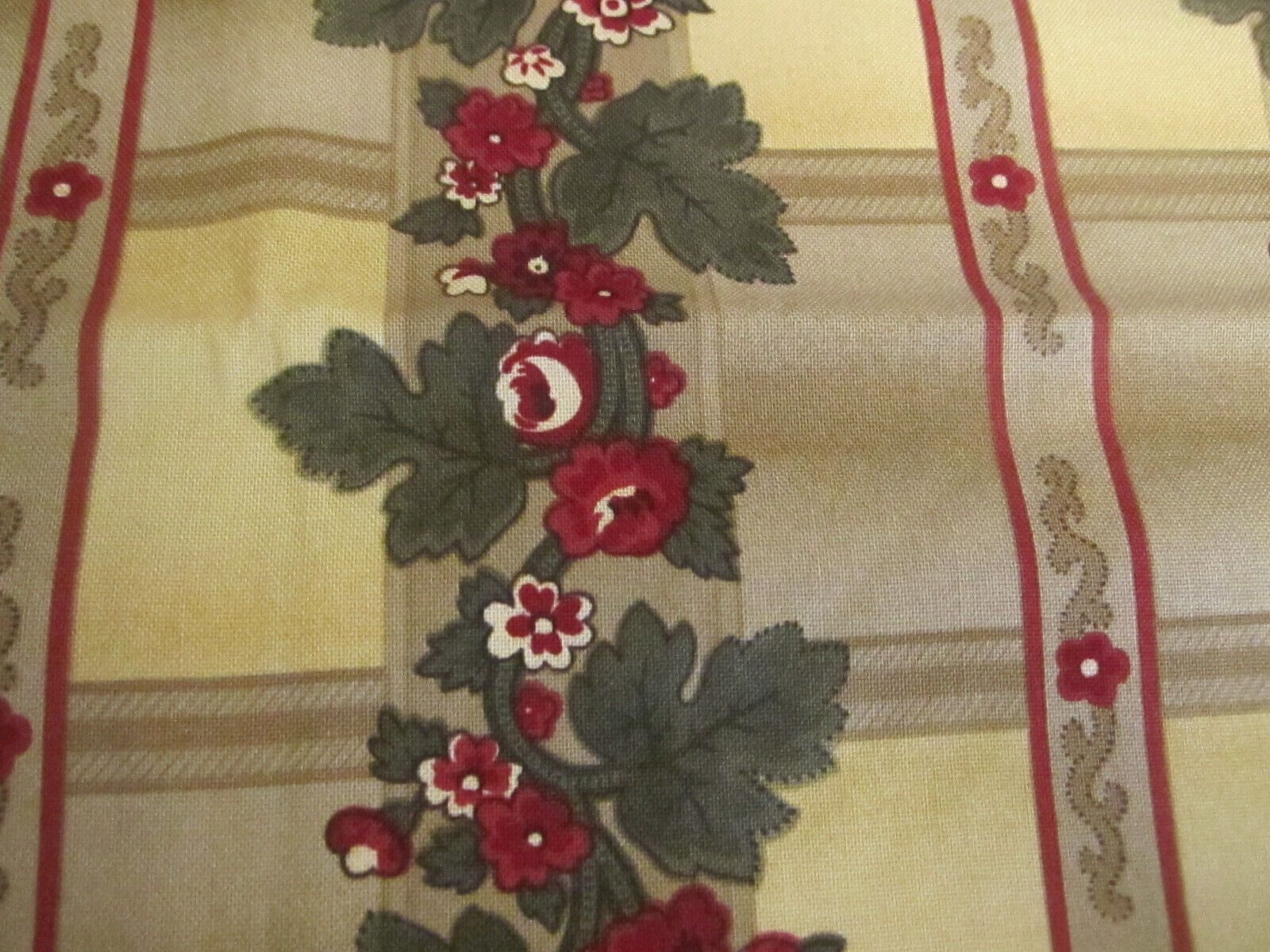 Picture 5 of 8