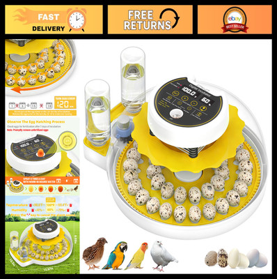 Automatic Quail Egg Incubator with Humidity Control & Egg Turner - 40 Egg Capaci