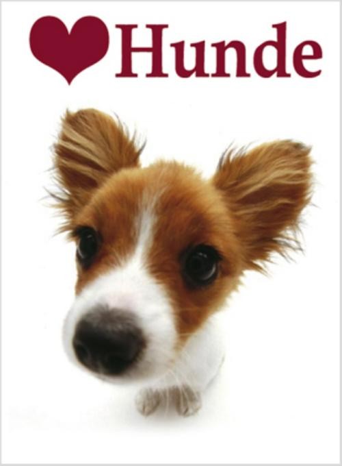 Ich liebe Hunde