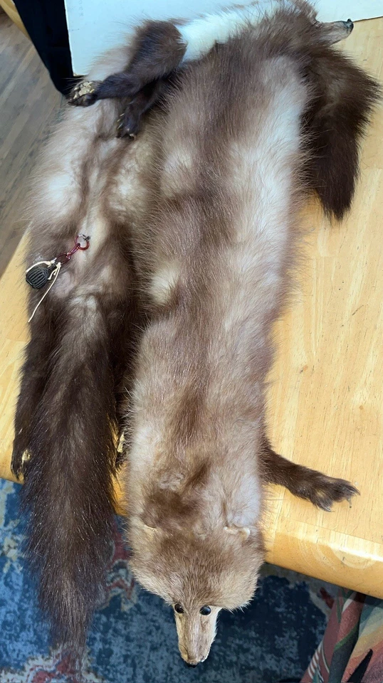 De colección 1940 Neiman Marcus Piel Completa Piedra Marten Sable Piel 2 Películas 48” L Estola Envoltura Foto 4 de 4