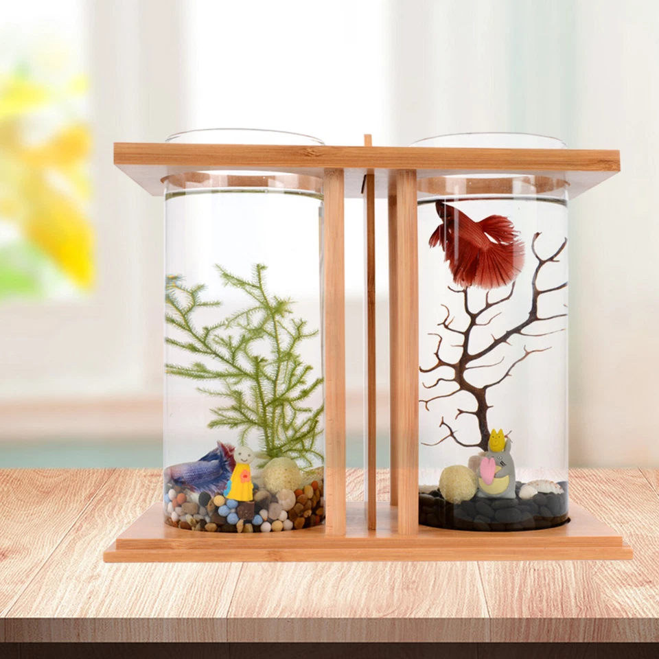 Small Betta Desktop Dual Glass Fish Tank Mini Table Aquarium Betta Fish Bowl - Image 3 of 4