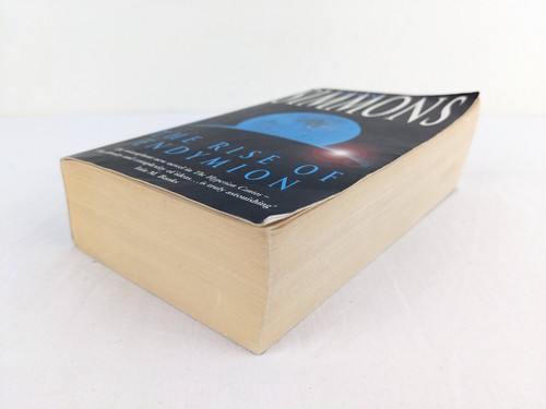 The rise of Endymion by Dan Simmons 1998 - Picture 7 of 12