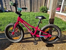 Specialized Riprock Kids Bike 1 Speed V-Brake Chain Guard Pink/Turquoise