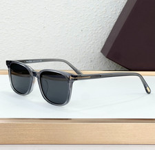 Tom Ford TF5831-F-B Sunglasses Transparent Gray Frame / Smoke Gray Lens New