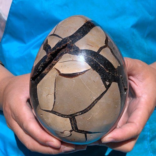 3.89LB Natural Dragon Septarian egg Quartz Crystal geode decoration - Picture 10 of 17
