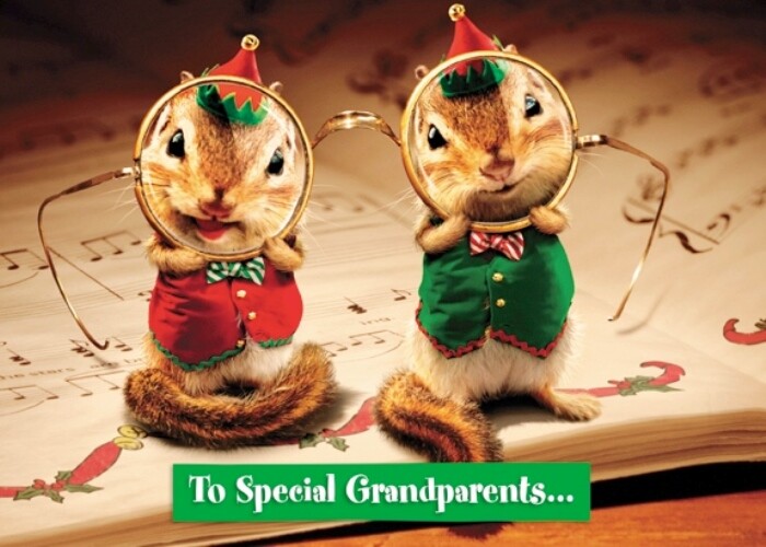 Avanti Grandparents Funny Christmas Greeting Card Humour Cards