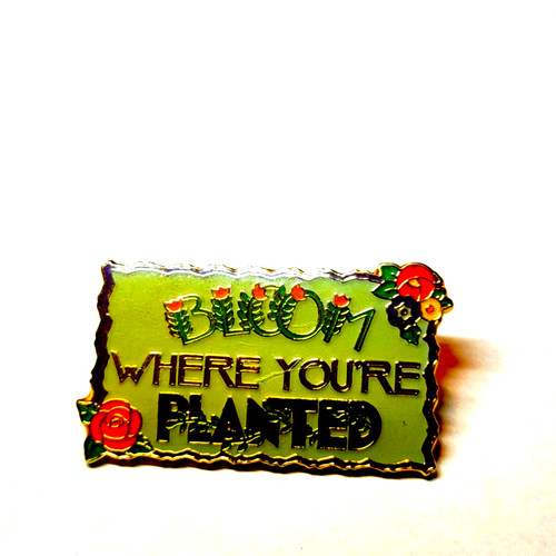 Bloom where you're planted beautiful vintage pin
