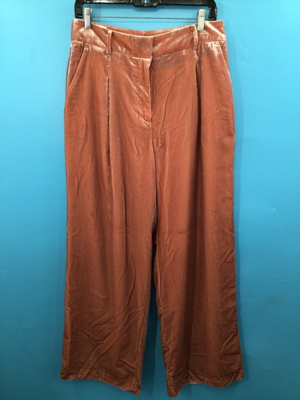Loft (NWT) 'Pink' Velvet Textured Pants - Women's Size 6
