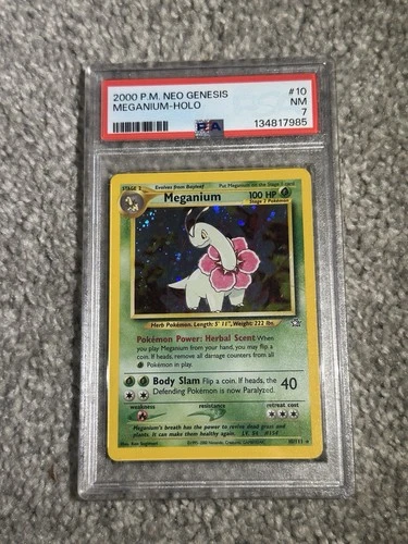 Pokemon PSA 7 NM 2000 Meganium 10/111  Neo Genesis Holo Card TCG Near Mint