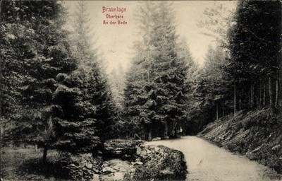Ak Braunlage im Harz, Spaziergang an der Bode - 5045169