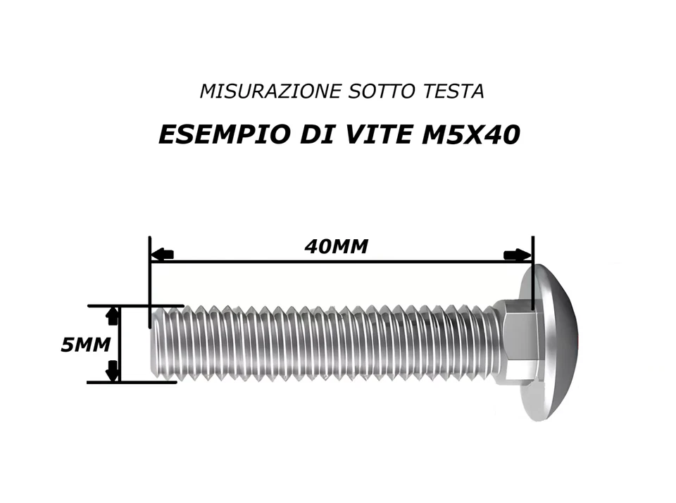 VITI M5 ACCIAIO INOX BULLONI TESTA TONDA QUADRO SOTTO TESTA CON DADO E RONDELLA - Immagine 3 di 4