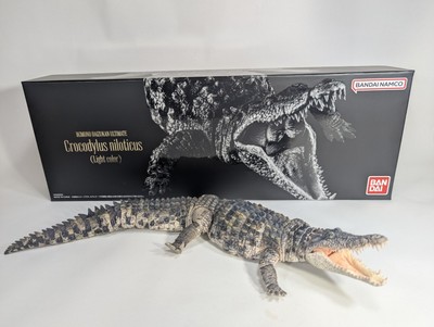 NEW* The Diversity of Life Nile Crocodile (Light Color) Figure