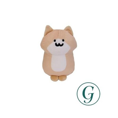 San Arrow Kitten M K-9377