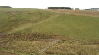 Foto 6x4 alte Langtonlees Polwarth Blick über den Wellcleugh Burn Towar c2010