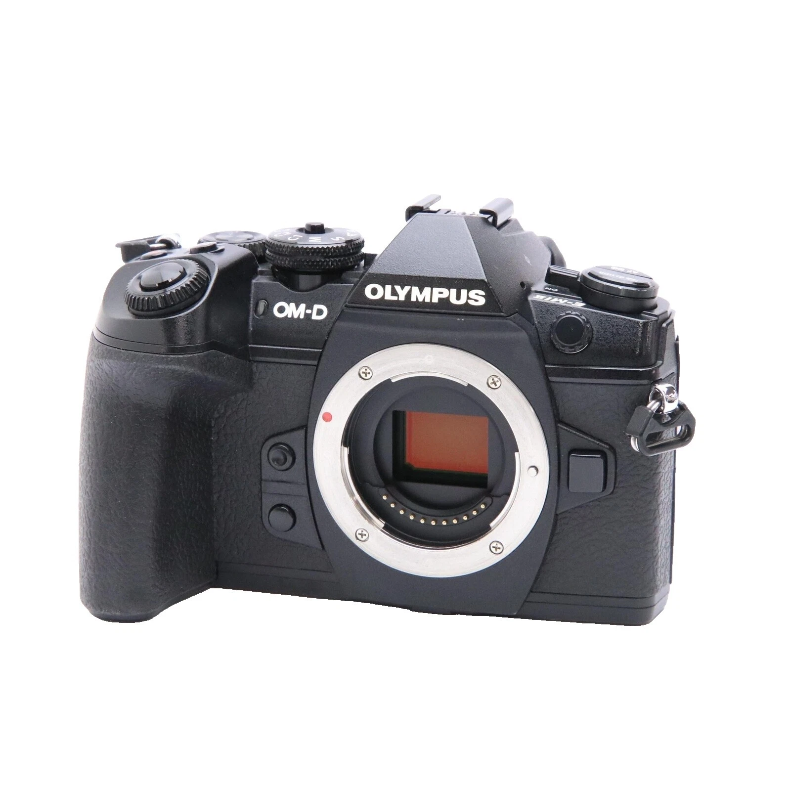 Olympus OM-D M1 Digital Cameras