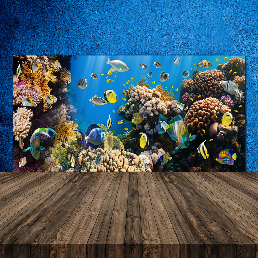 Crédence de cuisine en verre panneau mural 120x60 fond de hotte corail