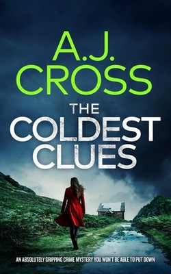 THE COLDEST CLUES an absolutely gripping crime mystery you won t be able to put