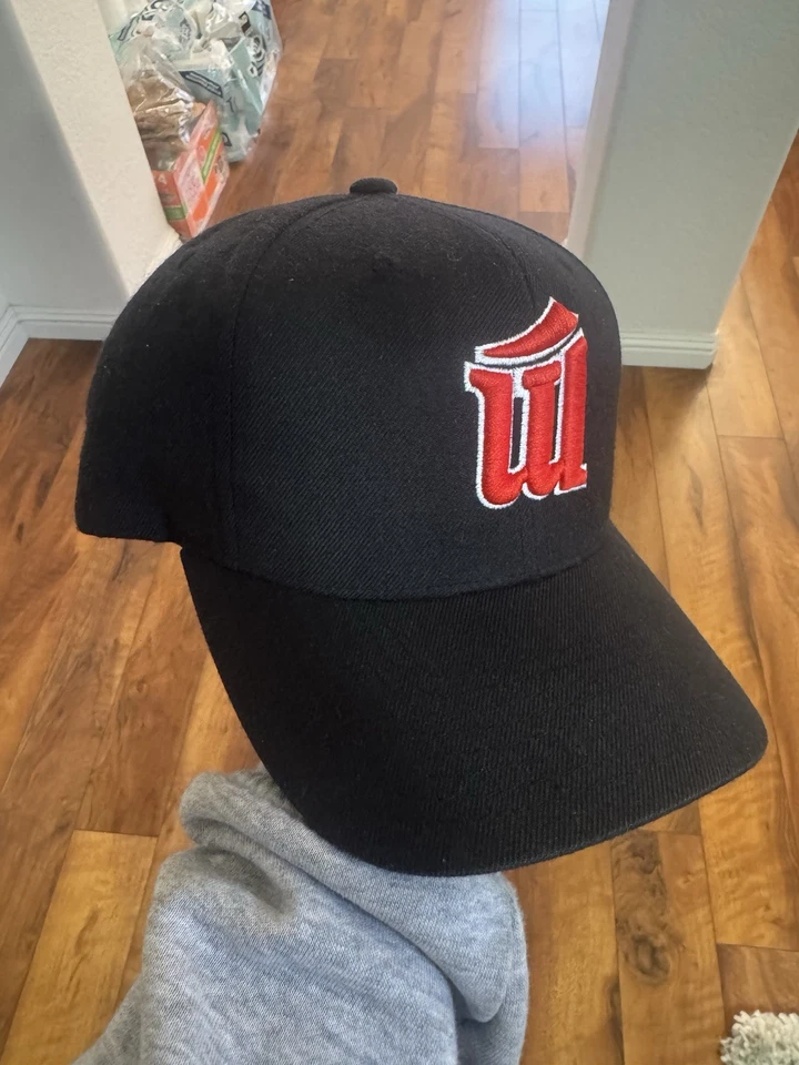 SnapBack Kill The Hype KTH Minnesota Twins súper raro Foto 3 de 4