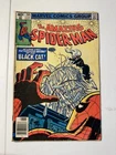 AMAZING SPIDER-MAN #205 BLACK CAT!  BRONZE AGE MARVEL COMICS 1980! NO RESERVE!