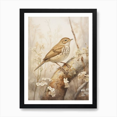Vintage Vogel Zeichnung Einsiedler Drossel gerahmtes Wandbild Poster Leinwanddruck Bild