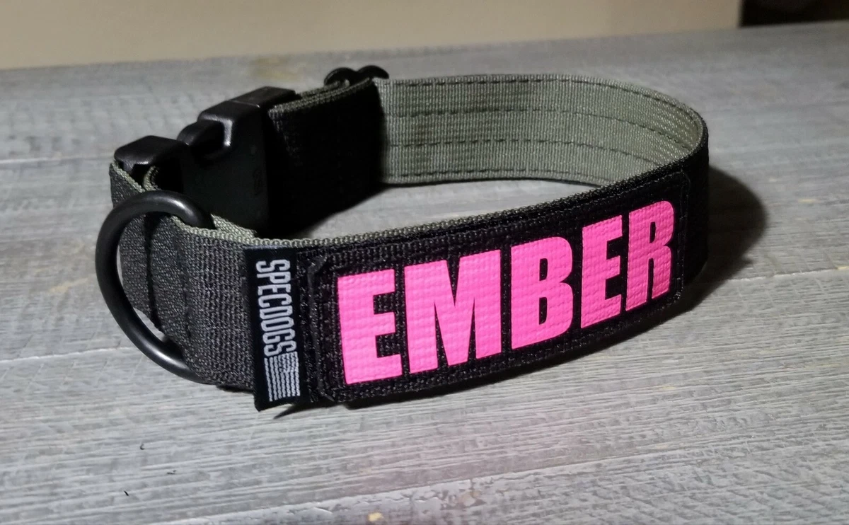 Military style dog collars cheap