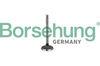 Borsehung Einlassventil B19029 FüR A3 1J6 1J5 Bora Vw 1J2 Seat T5 8L1 Skoda Golf