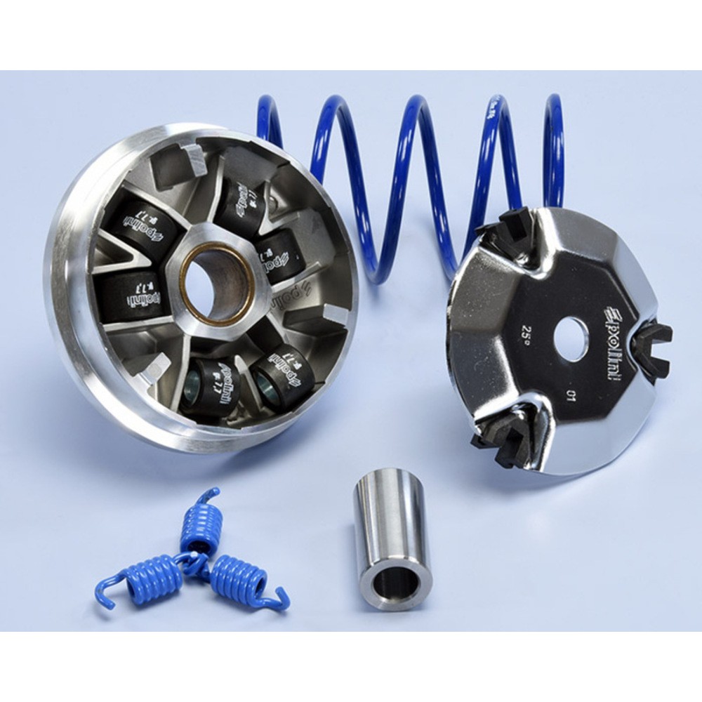 Free Shipping POLINI Variator For Peugeot Kisbee 50 Scooter Motor Parts
