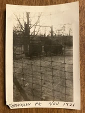 1931 Franklin Park Zoo Boston Massachusetts MA Buffalo Bison Real Photo P4k11