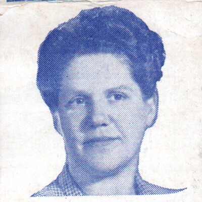 1950s Vivien Twidwell Grays Harbor County Washington Democratic Party Election