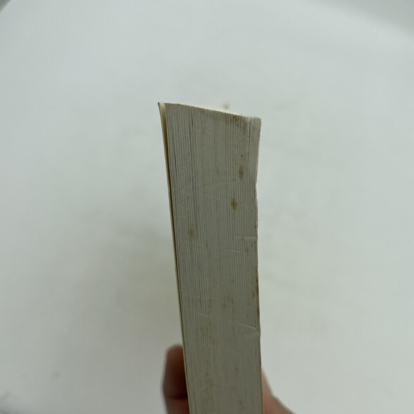 Picture 4 of 13